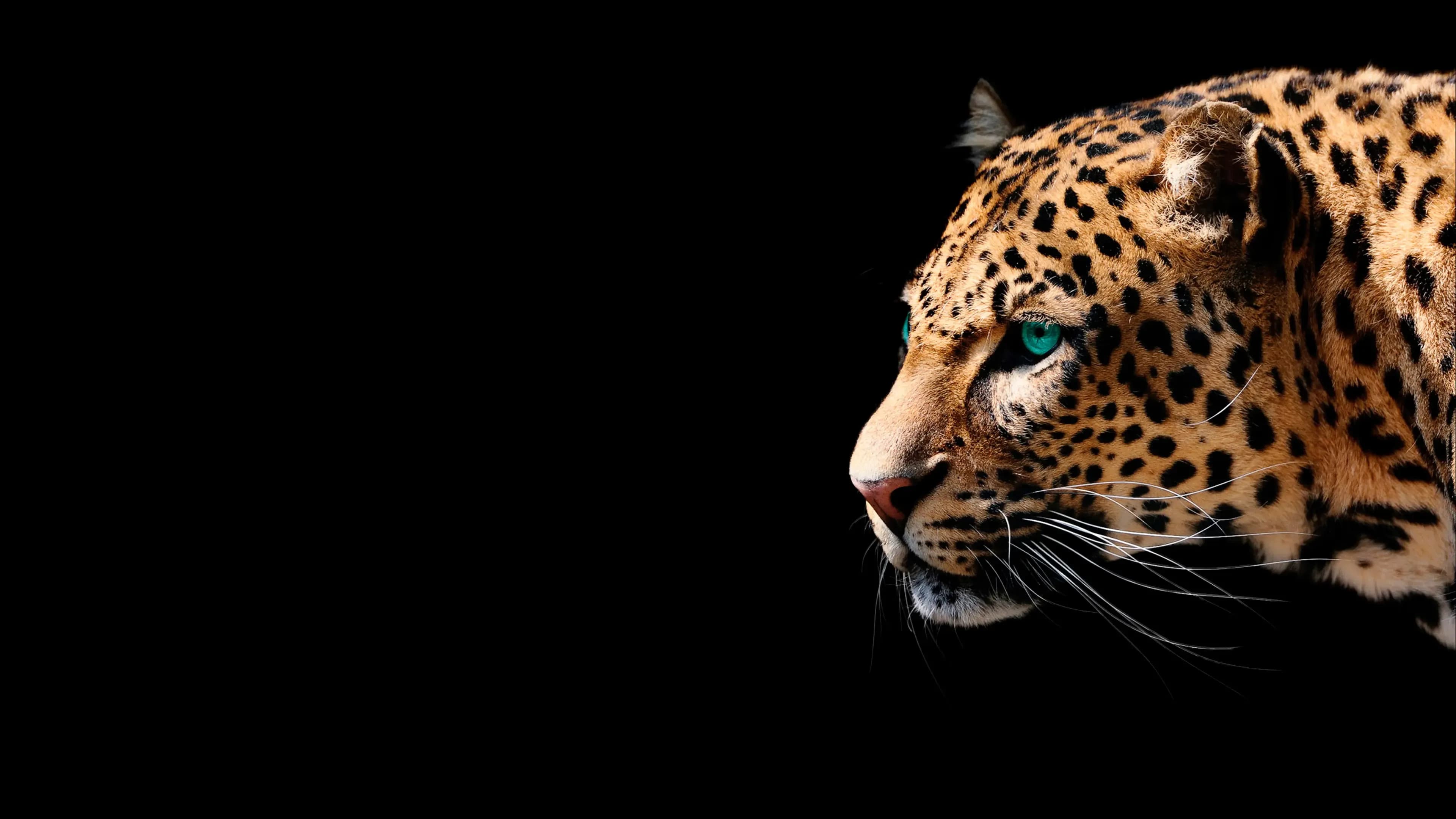 Tecnología médica que impulsa el trabajo de los profesionales sanitarios